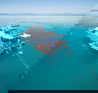 Ocean Freedom Great Barrier Reef Personal Luxury Snorkel  Dive Cruise Cairns - Accommodation BNB
