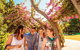Full-Day Small-Group History And Heritage Tour Of Brisbane City - thumb 1