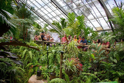 Australian Butterfly Sanctuary - Accommodation BNB 0