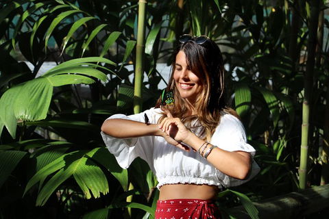 Australian Butterfly Sanctuary - Accommodation BNB 1