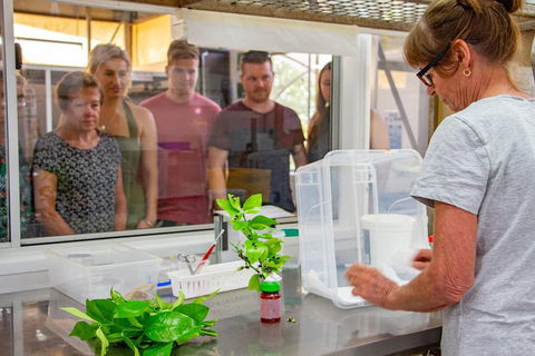 Australian Butterfly Sanctuary - Accommodation BNB 5