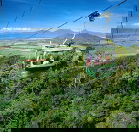 Best of Kuranda Including Skyrail Kuranda Scenic Railway and Rainforestation - Accommodation BNB