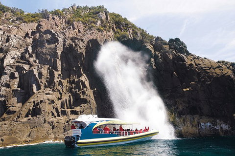 3-Hour Bruny Island Cruise From Adventure Bay, Bruny Island - Accommodation BNB 5