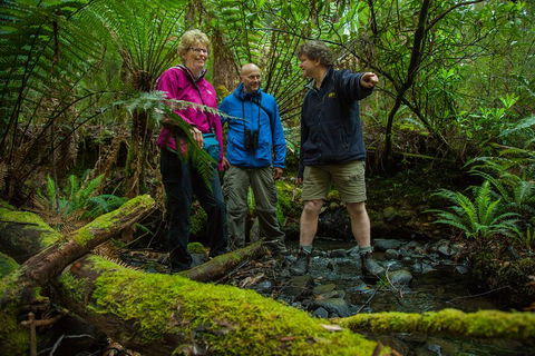 Bruny Island Traveller - Gourmet Tasting And Sightseeing Day Trip From Hobart - Accommodation BNB 1