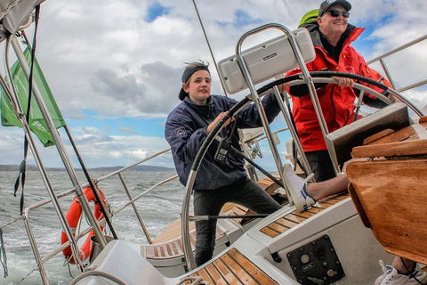 Half-Day Sailing On The Derwent River From Hobart - Accommodation BNB 3