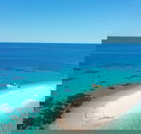 Ocean Safari Great Barrier Reef Experience in Cape Tribulation - Accommodation BNB
