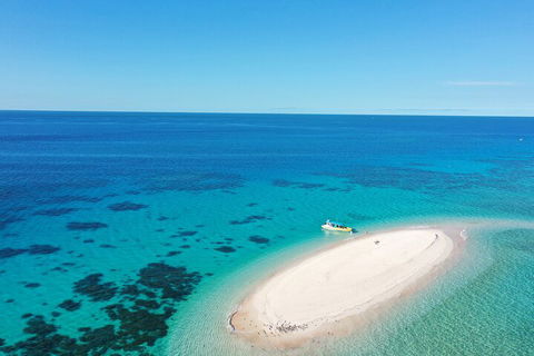 Ocean Safari Great Barrier Reef Experience In Cape Tribulation - Accommodation BNB 0