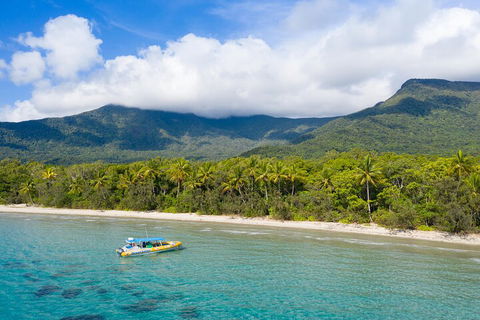 Ocean Safari Great Barrier Reef Experience In Cape Tribulation - Accommodation BNB 2