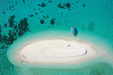 Ocean Safari Great Barrier Reef Experience In Cape Tribulation - Accommodation BNB 3