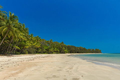 Ocean Safari Great Barrier Reef Experience In Cape Tribulation - Accommodation BNB 4