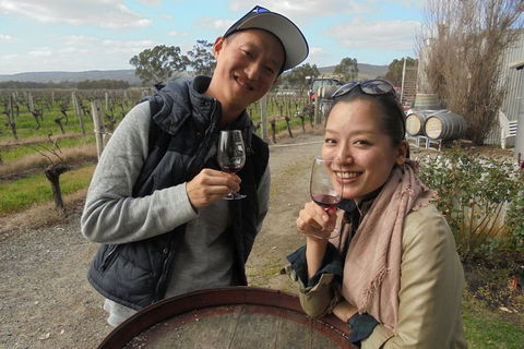 Swan Valley River Cruise And Wine Tasting Day Trip From Perth - Accommodation BNB 0