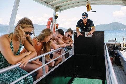 Fitzroy Island Day Trip From Cairns - Accommodation BNB 4
