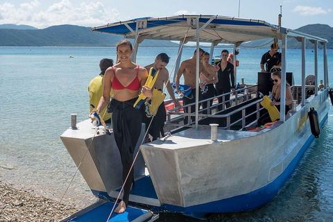 Fitzroy Island Day Trip From Cairns - Accommodation BNB 5