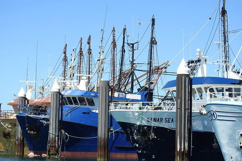 One Day Port Lincoln Tour - Tasting Eyre - Accommodation BNB 0