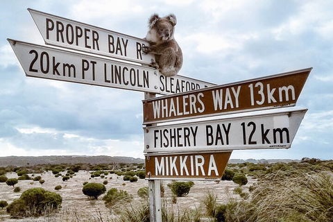 One Day Port Lincoln Tour - Tasting Eyre - Accommodation BNB 2