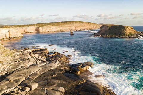One Day Port Lincoln Tour - Tasting Eyre - Accommodation BNB 3
