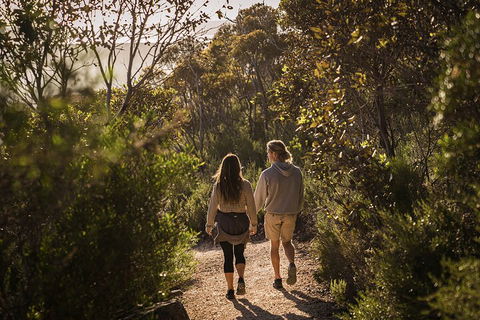 One Day Port Lincoln Tour - Tasting Eyre - Accommodation BNB 5