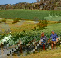 10 Day Perth to Adelaide Private Tour - The Great Australian Wilderness Journey - Accommodation BNB