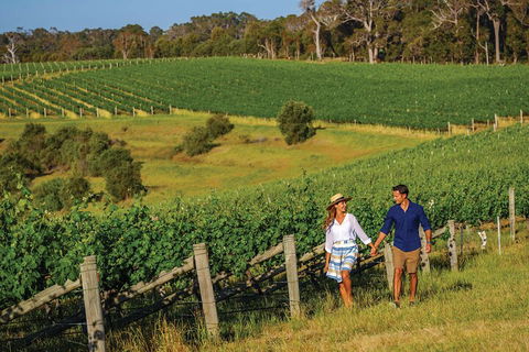 10 Day Perth To Adelaide Private Tour - The Great Australian Wilderness Journey - Accommodation BNB 0
