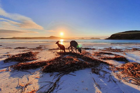 10-Day Perth To Adelaide Adventure Tour - Accommodation BNB 1