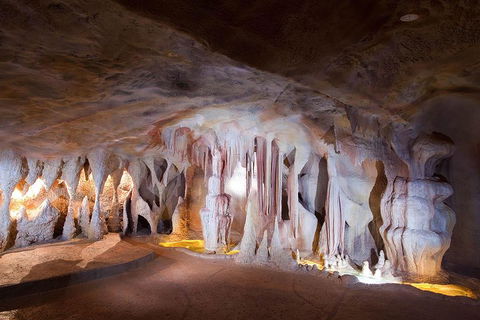 Springbrook AndTamborine Rainforest Tour Incl Natural Bridge And Glow Worm Cave - Accommodation BNB 4