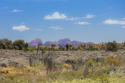 Overnight Uluru (Ayers Rock) Small-Group Camping Tour - Accommodation BNB 0