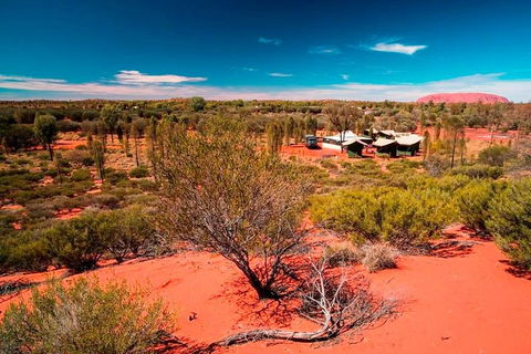 Overnight Uluru (Ayers Rock) Small-Group Camping Tour - Accommodation BNB 2