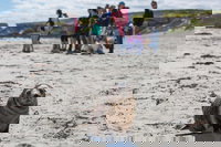 Book Viator Accommodation Vacations Accommodation BNB Accommodation BNB