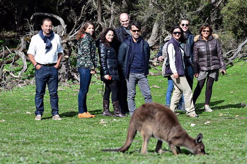 2-Day Kangaroo Island 4WD Small-Group Tour From Adelaide - Accommodation BNB 1