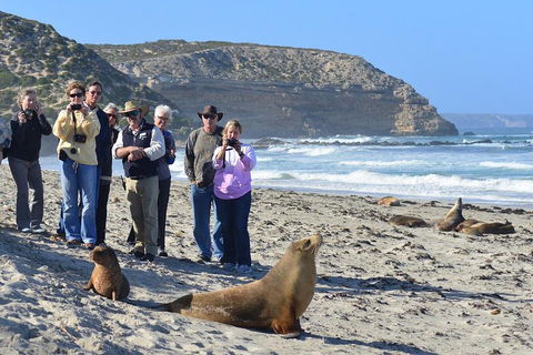 2-Day Kangaroo Island 4WD Small-Group Tour From Adelaide - Accommodation BNB 3