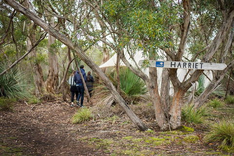 2-Day Kangaroo Island 4WD Small-Group Tour From Adelaide - Accommodation BNB 5
