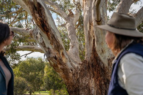 NEW TOUR - Kangaroo Island Road To Recovery Tour (1 Day/1 Night) - Accommodation BNB 0