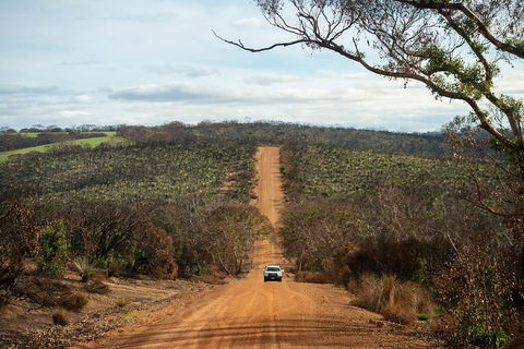 NEW TOUR - Kangaroo Island Road To Recovery Tour (1 Day/1 Night) - Accommodation BNB 2