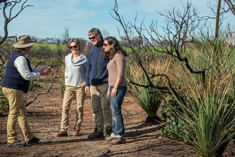 NEW TOUR - Kangaroo Island Road To Recovery Tour (1 Day/1 Night) - Accommodation BNB 4