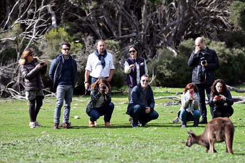Small-Group Kangaroo Island 4WD Tour From Adelaide - Accommodation BNB 2