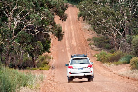 Small-Group Kangaroo Island 4WD Tour From Adelaide - Accommodation BNB 3