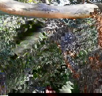 Small-Group Great Ocean Road Day Trip from Melbourne - Accommodation BNB