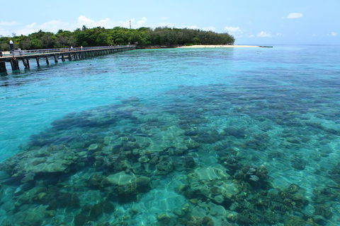 Cairns City Sights And Surrounds Tour - Accommodation BNB 1