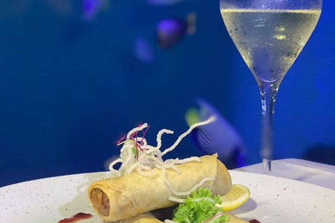 Cairns Aquarium And Small Group City Sightseeing Tour - Accommodation BNB 5