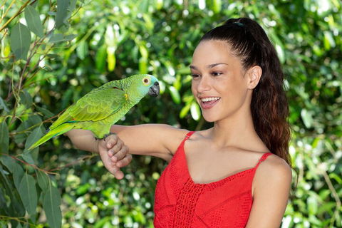 Kuranda Wildlife Experience Three Attraction Pass - Accommodation BNB 1