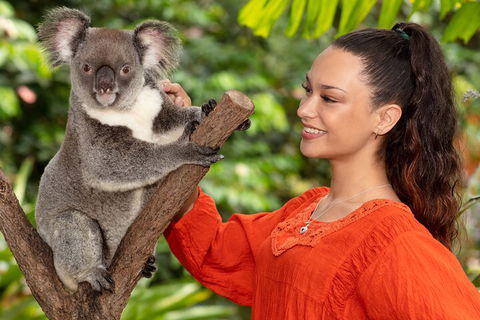 Kuranda Wildlife Experience Three Attraction Pass - Accommodation BNB 4