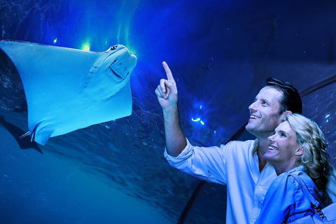 Cairns Aquarium Tour By Twilight With Drink And Appetiser - Accommodation BNB 4