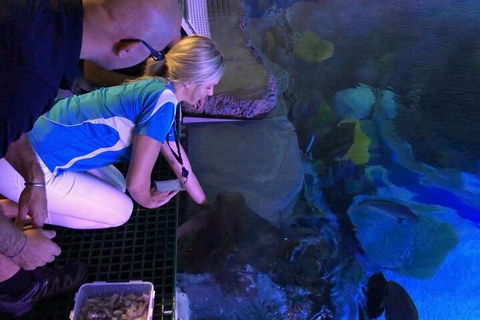 Cairns Aquarium Marine Life Encounter Ticket With 2-Course Lunch - Accommodation BNB 2