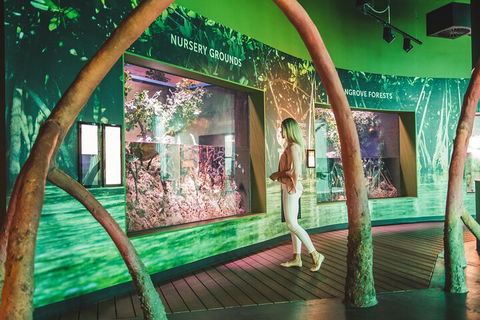 Cairns Aquarium Marine Life Encounter Ticket With 2-Course Lunch - Accommodation BNB 3