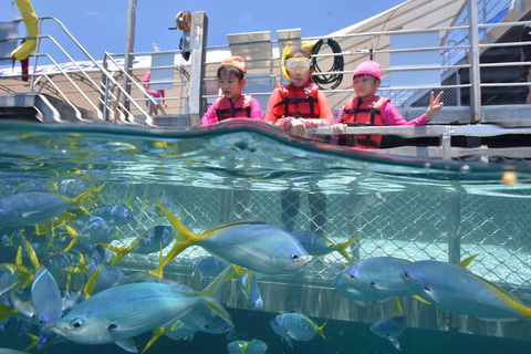Outer Reef Pontoon Experience From Cairns - Accommodation BNB 0