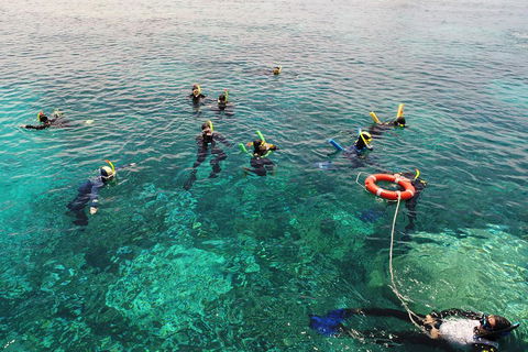 Seastar Luxury Outer Great Barrier Reef Island And Reef Tour From Cairns - Accommodation BNB 2