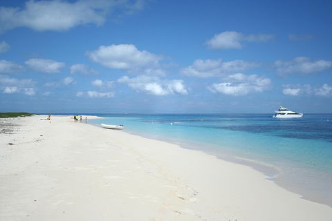 Seastar Luxury Outer Great Barrier Reef Island And Reef Tour From Cairns - Accommodation BNB 3
