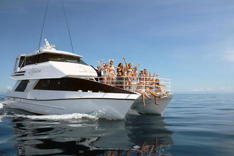 Seastar Luxury Outer Great Barrier Reef Island And Reef Tour From Cairns - Accommodation BNB 4
