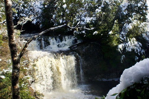 Cradle Mountain Park Explorer Guided Tour - Accommodation BNB 4