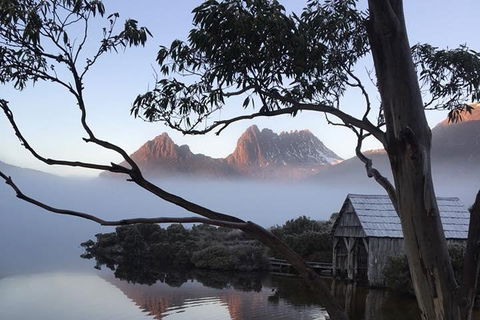Cradle Mountain Park Explorer Guided Tour - Accommodation BNB 5